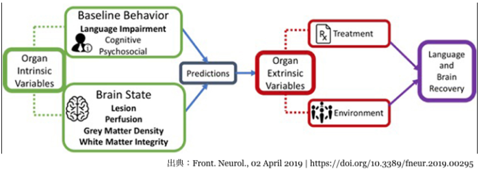 Figure 1. A schematic representation of organism intrinsic variables and organism extrinsic variables that influence language recovery.：PT・OT・STニュース.blog リハビリ1分間アップデート