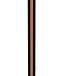【杖 – カラー】一本杖（高齢者）- リハイラスト