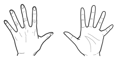 身体部位のパーツ：無料イラスト【手 - 白黒線画】（手掌面・手背面）感覚評価など- リハイラスト