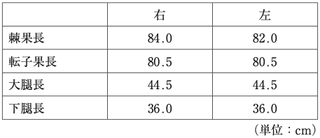 下肢長の計測結果の分析:PT61PM6